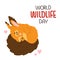 World Wildlife Day with cute cartoon squirrel baby sleeping