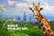 World Wildlife Day. Text on giraffe background