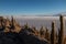 The worlds largest salt flat Bolivia, South America Salar de Uyuni seen from the unique cactus island called Incahuasi