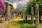 The worldwide famous archaeological site of ancient Olympia.