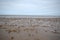 Worm casts on Bridlington beach