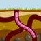 Worm in the ground. Burrows and passages. Nature and the insect