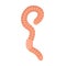 Worm icon, long creeping pink earthworm insect
