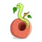 A worm sits on an apple and eats leaves.