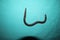 Worm snake isolated on a green background  close up of snake it looks like worm blind snake is a non venomous closeup superworm, s