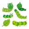 Worm vector collection design