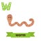 Worm. W letter. Cute children animal alphabet in vector. Funny c