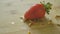 Worms Crawling over Strawberries