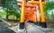 Worms eye view of Torii gates