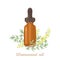 Wormwood essential oil. Amber glass dropper bottle, sagebrush leaf and flowers