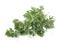Wormwood Leaves - Artemisia Absinthium