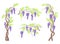 Wormwood tree. Blooming wisteria branches and bunches of flowers, elements for design. Vector cartoon illustration.