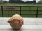 Worn baseball on bleachers