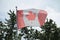 worn and faded canadian flag blowing in wind on flag pole with pines trees