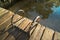 A worn lakeside dock ladder, looking down