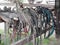 Worn leather horse bridles and bits hanging on wooden fence