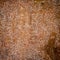 Worn metal texture. Rust metal surface texture background,