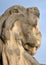 Worn old eroded sculpture of a lions head in profile