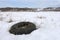 A worn-out car tire lies in a field in winter in the snow. Landfill of used tires and automobile waste. Recycling of automobile