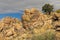 Worn Rocks and Sparce Vegetation on a Desert Peak
