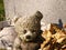 Worn sad Teddy Bear In autumn