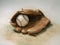 Worn vintage baseball and mitt on organic canvas background