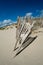 Worn wooden fence on sandy beach with blue sky