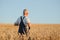 Worried gray haired agronomist or farmer using a tablet while inspecting organic wheat field before the harvest. Back lit sunset