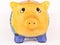 Worried piggy bank