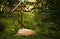 Worship cross in the woods near the holy spring