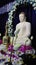 Worship to Lord Buddha