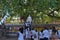 Worshippers paying respects to the Buddha seated under the Bodhi Tree at Kelaniya Raja Maha Vihara, Colombo