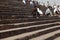 Worshippers, Steps Jama Masjid mosque, Old Delhi, India, Asia  Photo Copyright Â© by Saji Maramon