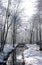 Worsley woods in winter