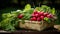 Woven basket filled with vibrant, crisp radishes