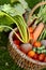 Woven basket with fresh produce from a vegetable garden