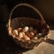 woven egg basket with a handle, filled with a dozen or so freshly laid eggs