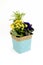 Woven Plant Pot with African Violet, SaintPaulias and Palm Tree