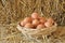 Woven rattan basket of eggs on straw floor