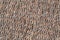 Woven reed Mat texture background. An old Mat