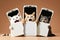 Wow, Great Offer concept. Three excited diverse cat 3 big cell phones showing to camera through torn paper holes. illustration