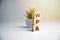 WPA word on wooden blocks, internet concept.