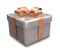 Wrapped brown gift 3D