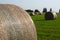 Wrapped hay bales in Manitoba.