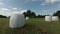 Wrapped white hay bales on farmland, time lapse