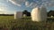 Wrapped white hay bales on  meadow and clouds motion, time lapse