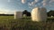 Wrapped white hay bales on meadow, time lapse