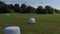 Wrapped white hay bales on summer meadow, aerial