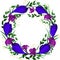 wreath of beautiful crocuses in blue