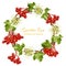 Wreath with berries and flowers of viburnum on a white background. Guelder rose. Symbol of Ukraine.
